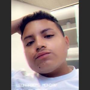 Meet your Posher, Leonardo